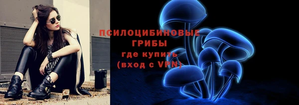 spice Пролетарск